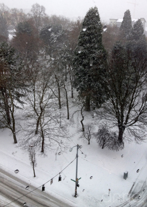 SnowPacificNW002-001