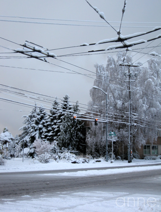 SnowPacificNW007-001