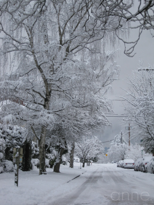 SnowPacificNW008-001