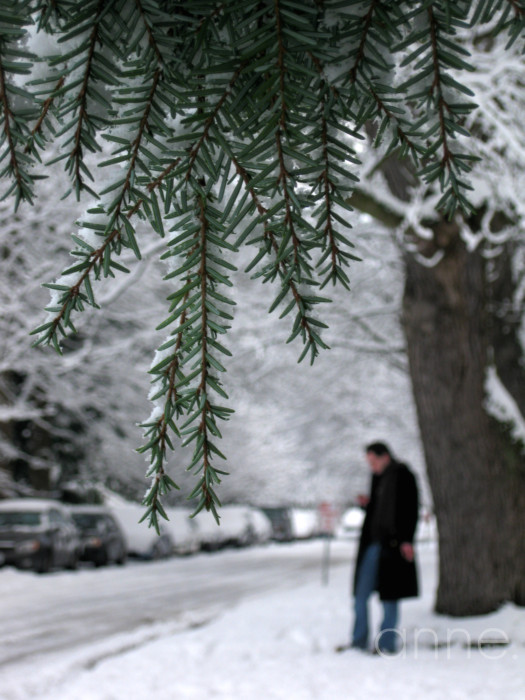 SnowPacificNW009-001