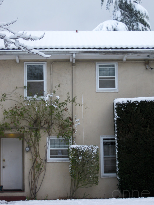 SnowPacificNW011-001