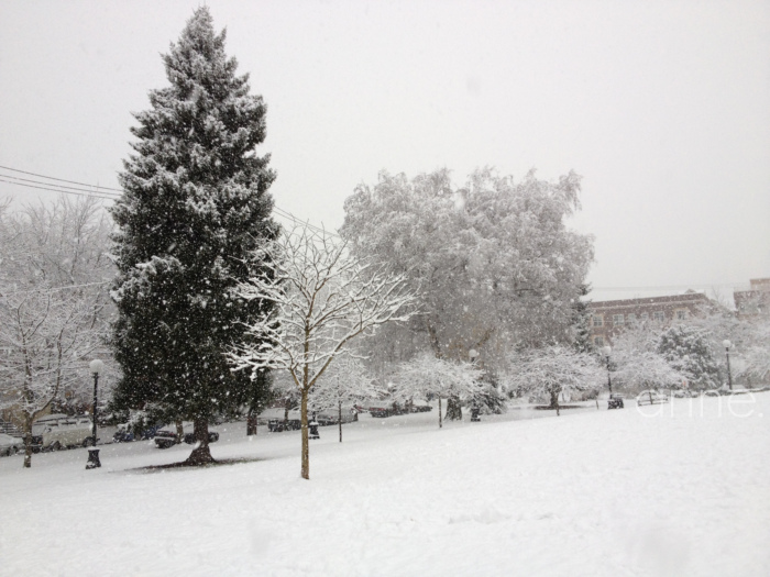 SnowPacificNW015-001