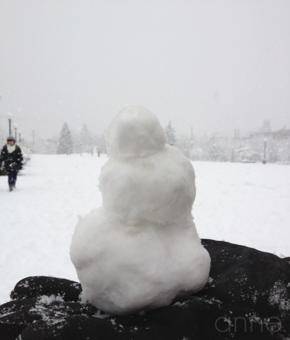 SnowPacificNW016-001