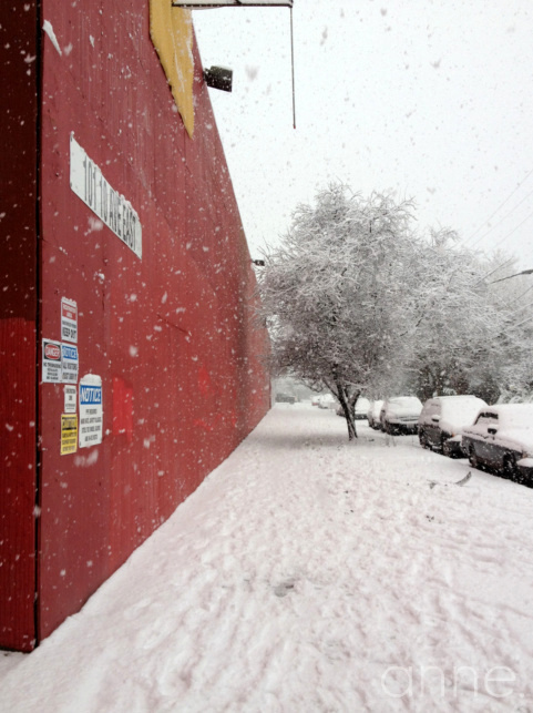 SnowPacificNW020-001