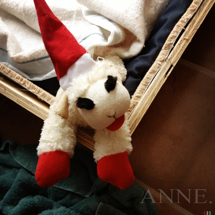 ‘A bed for a dog’ Hartsgrove, Ohio, December 2012