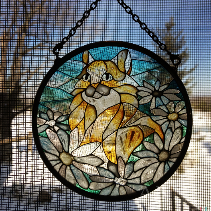 ‘Cat on a chain’ Hartsgrove, Ohio, December 2012
