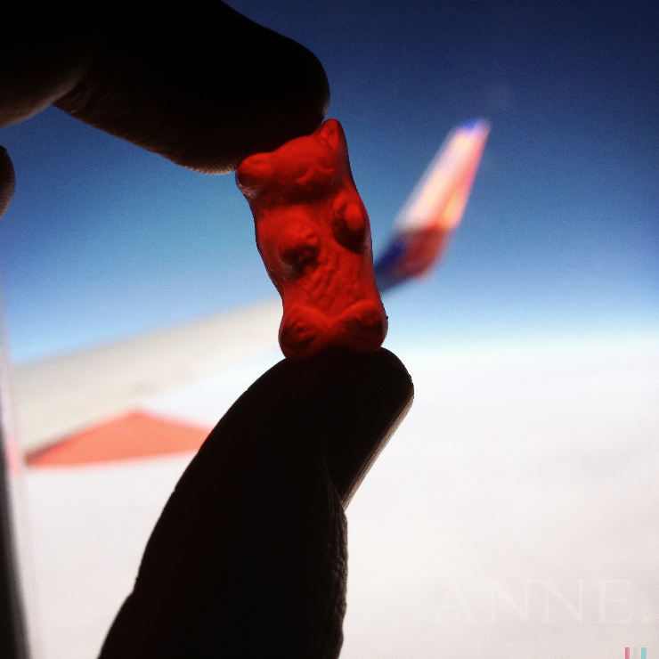 ‘Gummy Ride’ En Route, December 2012