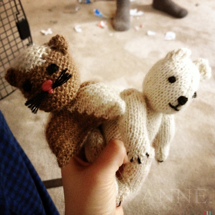 ‘Knit animals’ Hartsgrove, Ohio, December 2012