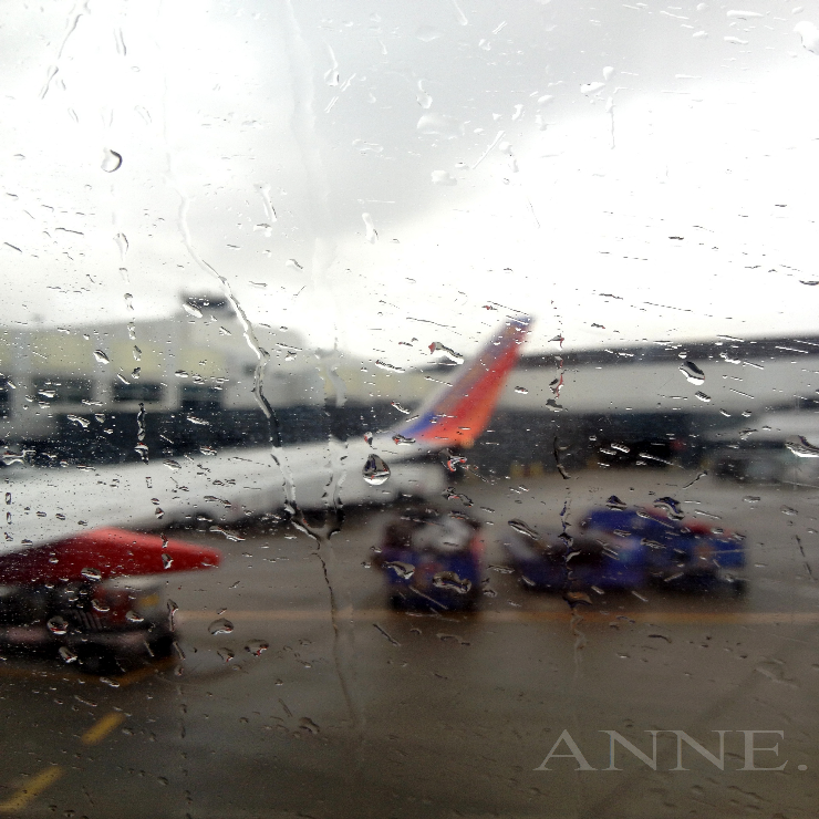 ‘Rainy Seattle greetings’ Seattle WA, December 2012