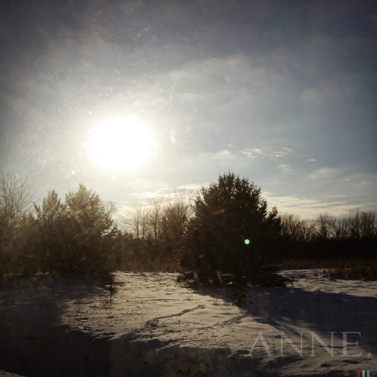 ‘Sun on a Winter’s afternoon’ Hartsgrove, Ohio, December 2012