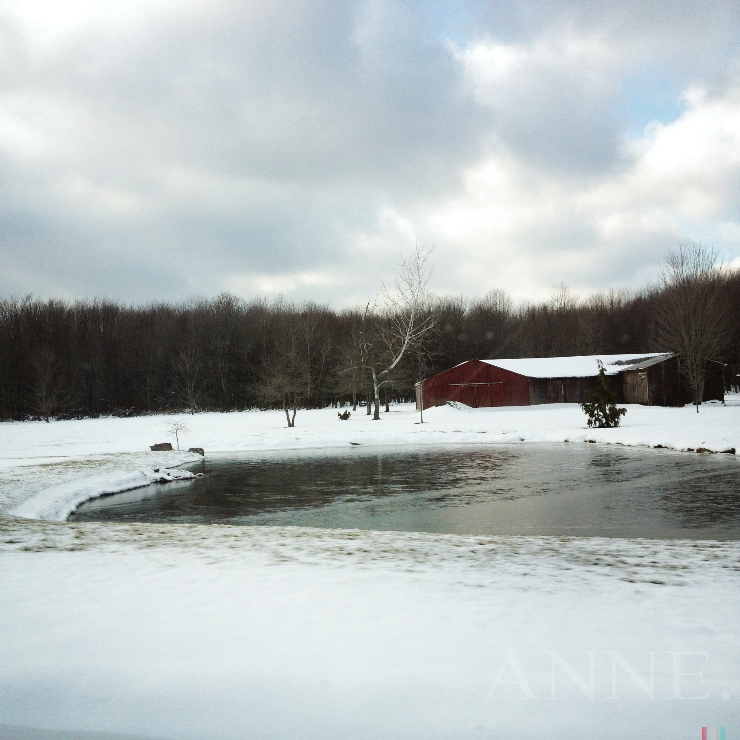 ‘Winter pond’ Hartsgrove, Ohio, December 2012