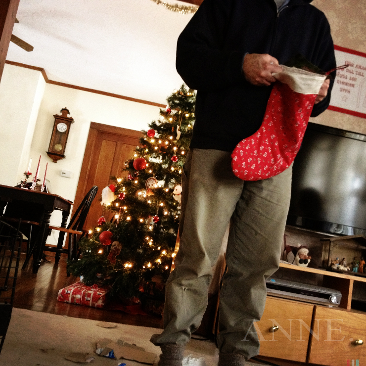 Home for the Holidays_014