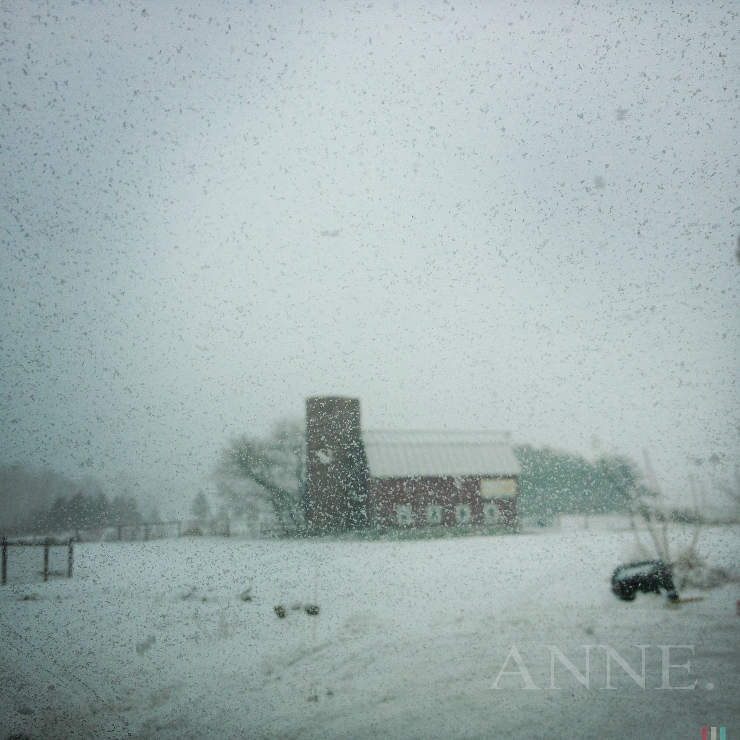 Home for the Holidays_021