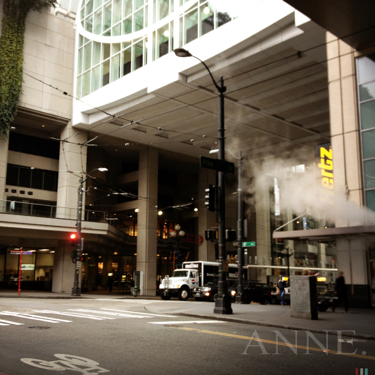 'Under the convention' , Seattle WA, January 2013