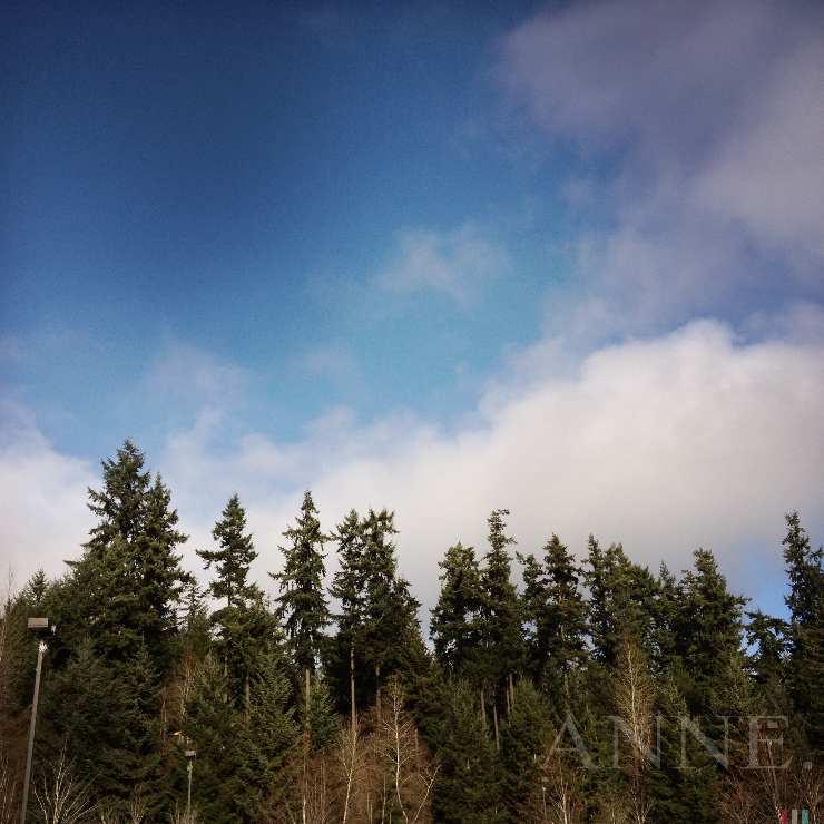 ‘A message to spread across the land’ Bellevue WA, December 2012