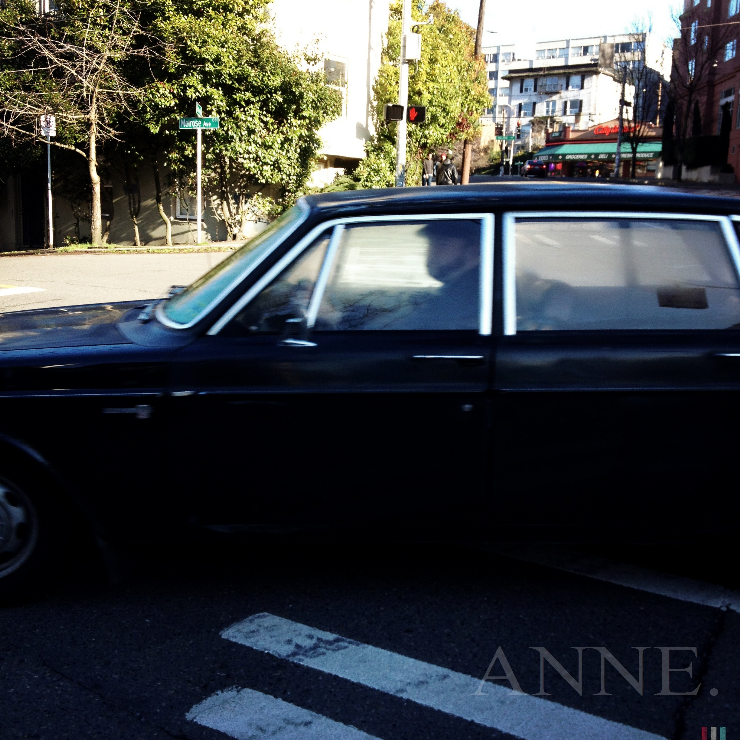 'Classic black’ Seattle WA, January 2013