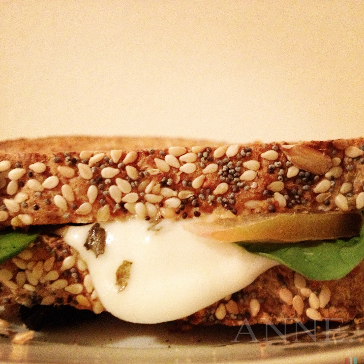 ‘Homemade panini’ Seattle WA, January 2013