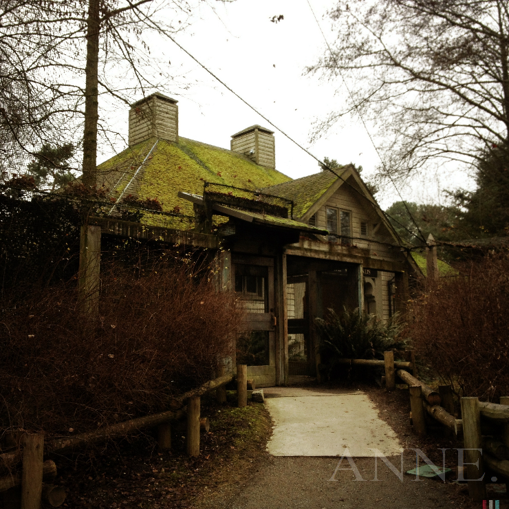 ‘House of Moss’ Woodland Zoo, Phinney Ridge, Seattle WA, January 2013