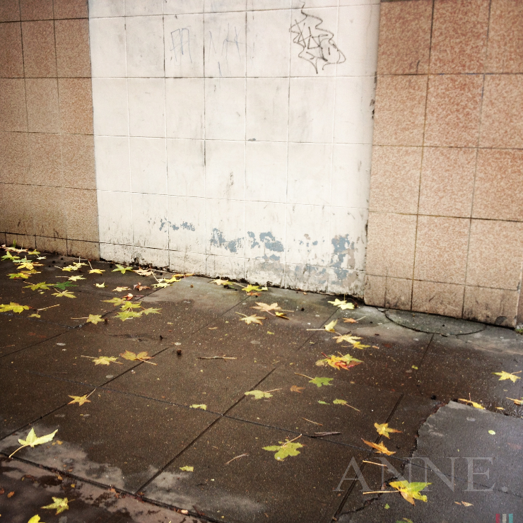 ‘White space’ Seattle WA, January 2013
